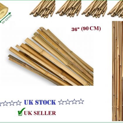 3ft (90cm) Strong Professional Bamboo cane Flower Plant Support cap frame